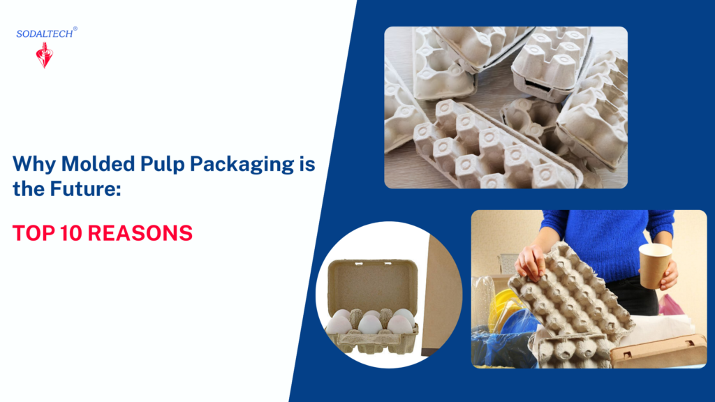 10 Reasons Why Molded Pulp Packaging Is the Future