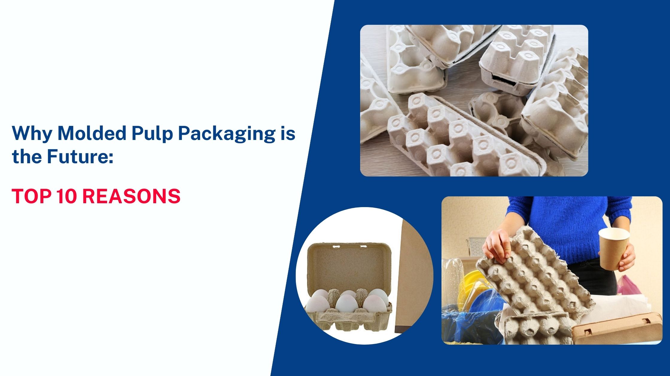 10 Reasons Why Molded Pulp Packaging Is the Future