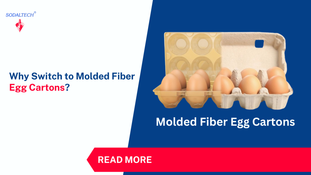 Why Switch to Moulded Fiber Egg Cartons?