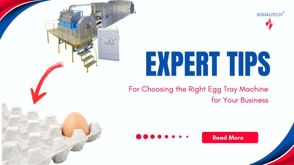 Expert Tips for Choosing the Right Egg Tray Machine for Your Business