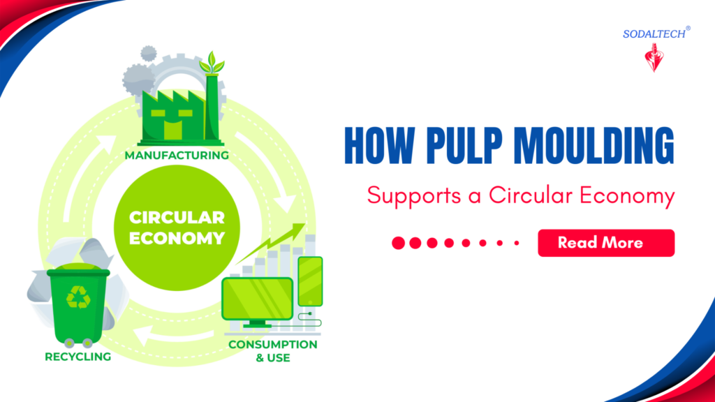 How Pulp Moulding Supports a Circular Economy?