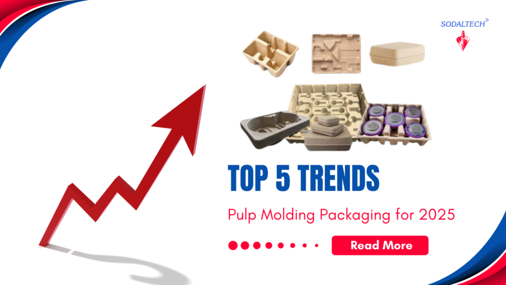 Top 5 Emerging Trends in Pulp Molding Packaging for 2025