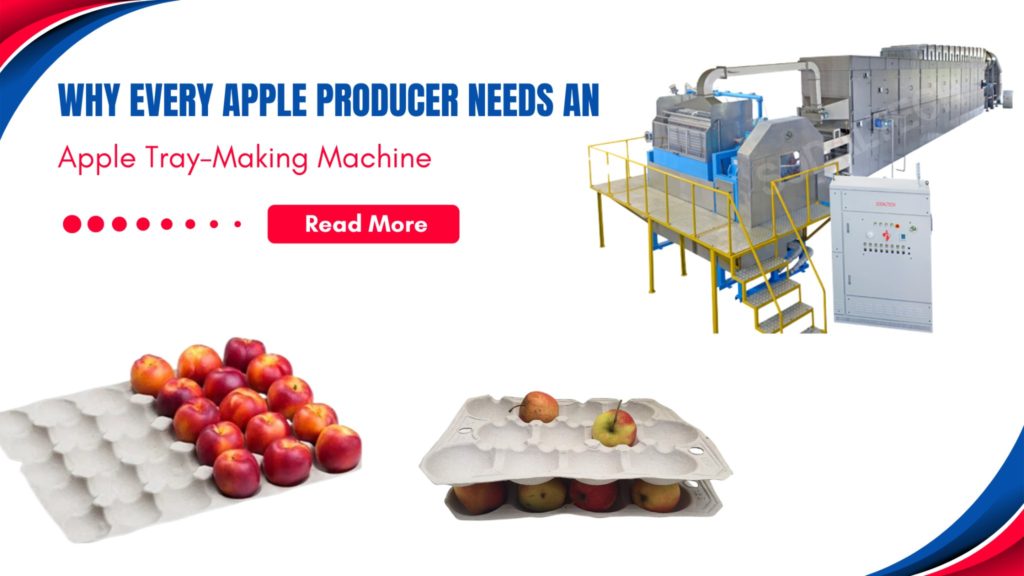 Why Every Apple Producer Needs an Apple Tray-Making Machine